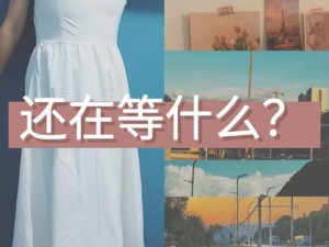 欧洲 MV 清砖码区免费，纯净无广告，畅享高清画质，你还在等什么？