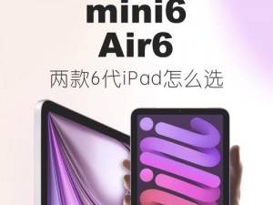 如何保障秘密入口 MINI6 的安全？