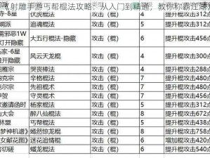 《射雕手游丐帮棍法攻略：从入门到精通，教你称霸江湖》