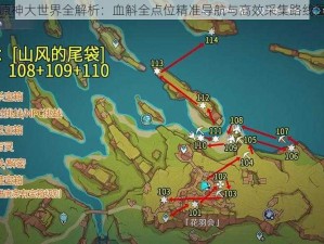 原神大世界全解析：血斛全点位精准导航与高效采集路线图