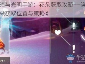 《黑暗与光明手游：花朵获取攻略——详尽解析花朵获取位置与策略》