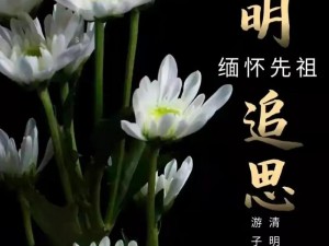 在春风拂柳的清明时节，让我们一起缅怀逝去的亲人