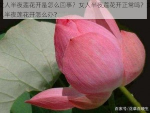 女人半夜莲花开是怎么回事？女人半夜莲花开正常吗？女人半夜莲花开怎么办？