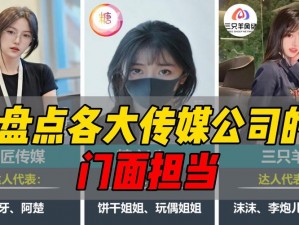 水蜜桃传媒：如何解决视频营销痛点？