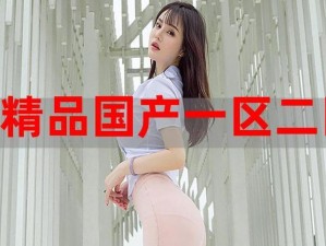 精产国品一二三：品质与价格的完美平衡