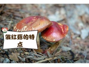 17cc 网黑料爆料官网蘑菇是真的吗？如何辨别真假黑料？