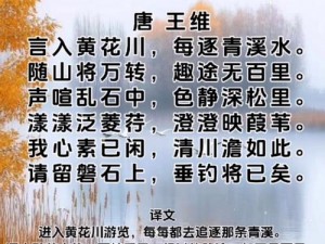 两峰夹小溪地湿又无泥，为何诗小说能成热点？