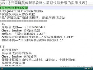 《三国群英传新手攻略：前期快速升级的实用技巧》