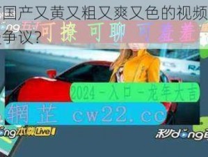 为何国产又黄又粗又爽又色的视频软件备受争议？