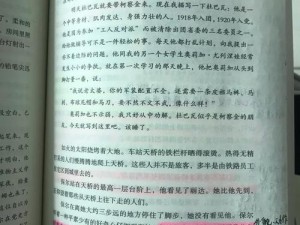 艳肉乱痕1一12章、艳肉乱痕 1-12 章：禁忌的欲望之爱