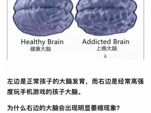 《小小大脑：探究游戏配置需求的深度解析》