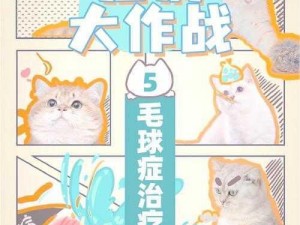 小森生活：猫毛球的神奇作用大揭秘