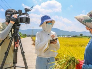 优质 rb 灌溉系统唐小米，高效节水，智能控制，让你的农田轻松实现自动化灌溉