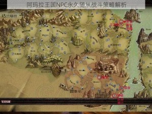 阿玛拉王国NPC永久随从战斗策略解析