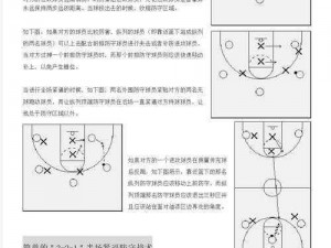 自由篮球最佳组队配置与实战打法详解