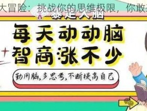 烧脑大冒险：挑战你的思维极限，你敢来吗？