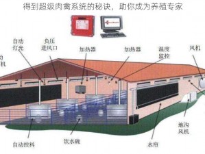 得到超级肉禽系统的秘诀，助你成为养殖专家