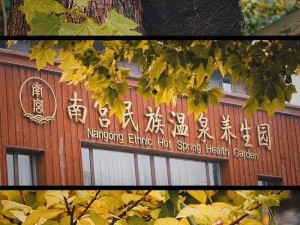 元气食堂汤泉攻略：玩转温泉娱乐体验场，解锁温泉新玩法介绍