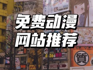 国际免费 b 站，畅享二次元世界，精彩内容看不停