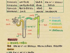 罚喝10瓶利尿水不准尿出来;如何惩罚一个人，让他在 12 小时内喝下 10 瓶利尿水且不准尿出来？