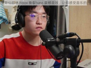 俄罗斯仙踪林 bbox 撕裂bass 震撼音效，让你感受音乐的力量