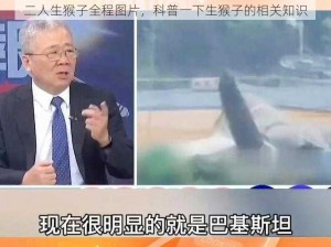 二人生猴子全程图片，科普一下生猴子的相关知识