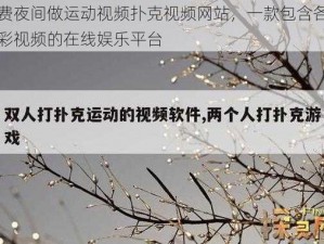 免费夜间做运动视频扑克视频网站，一款包含各种精彩视频的在线娱乐平台