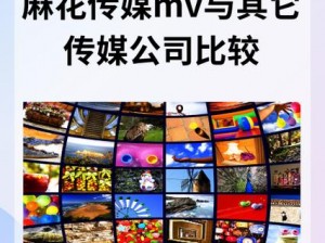 麻花传剧原创 mv 在线看完整版高清，为何找不到？怎样解决？