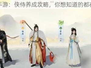 射雕手游：侠侍养成攻略，你想知道的都在这里