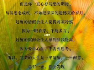 一款包含各种精彩内容的国产精品，满足你对人妻的所有幻想