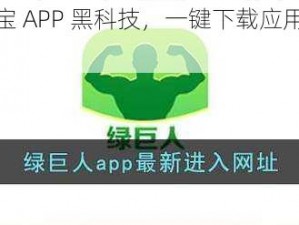 绿巨人应用宝 APP 黑科技，一键下载应用，畅享便捷体验