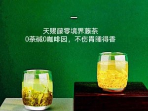 仙踪林 com——自然、健康、时尚的茶饮品牌