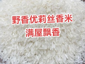 米粒米粒官网——高品质产品，让生活更美好