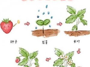 在种植草莓、丝瓜、向日葵、樱桃、榴莲过程中，遇到难题怎么办？