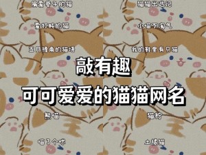 猫咪爱好者必看：新版猫咪永久地域网名为何如此受欢迎？