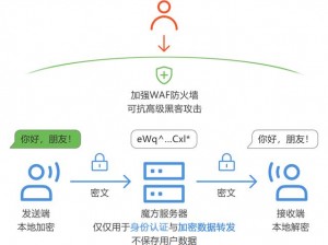 亚洲有薄码，为什么还需要加密技术？