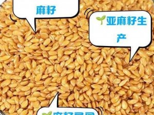 麻豆一二三产区有何区别？怎样区分麻豆一二三产区？