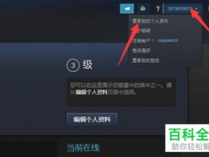 关于《死或生5：最终一战》Steam ID正确设置方法及详解