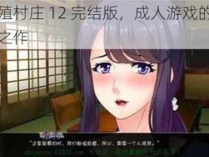 繁殖村庄 12 完结版，成人游戏的巅峰之作