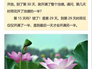 荷花网能解决你的什么问题？