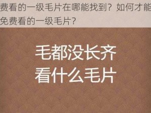 免费看的一级毛片在哪能找到？如何才能找到免费看的一级毛片？