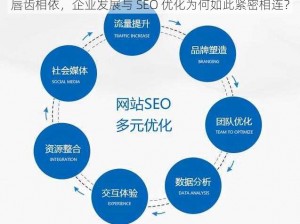 唇齿相依，企业发展与 SEO 优化为何如此紧密相连？