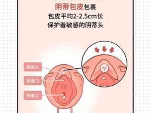 他为什么吸着我的小豆豆？正常吗？