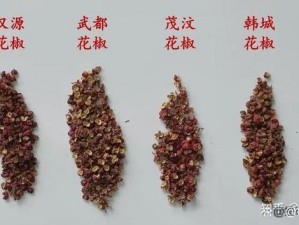 花椒老版本为什么不能下载？如何下载花椒老版本？怎样找到花椒老版本的下载链接？