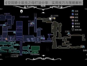 《空洞骑士吸虫之母打法分享：实用技巧与策略解析》