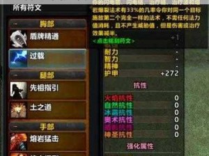 关于萨满之怒：狂暴之力与神秘咒语的技能介绍