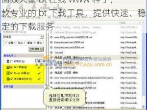 高效天堂 bt 在线 www 种子，一款专业的 bt 下载工具，提供快速、稳定的下载服务
