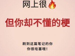 上海严公子梗深度解析：网络热词的背后故事