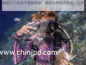 太子被暗卫 C 到合不拢腿视频，解锁全新视觉体验，让你心跳加速