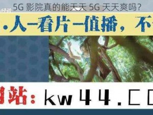 5G 影院真的能天天 5G 天天爽吗？